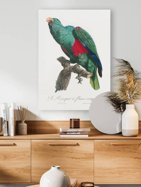 Eclectus parrot  by IStockHistory com