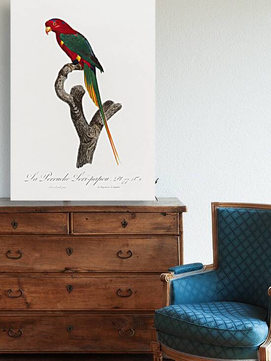 Papuan lorikeet  by IStockHistory com