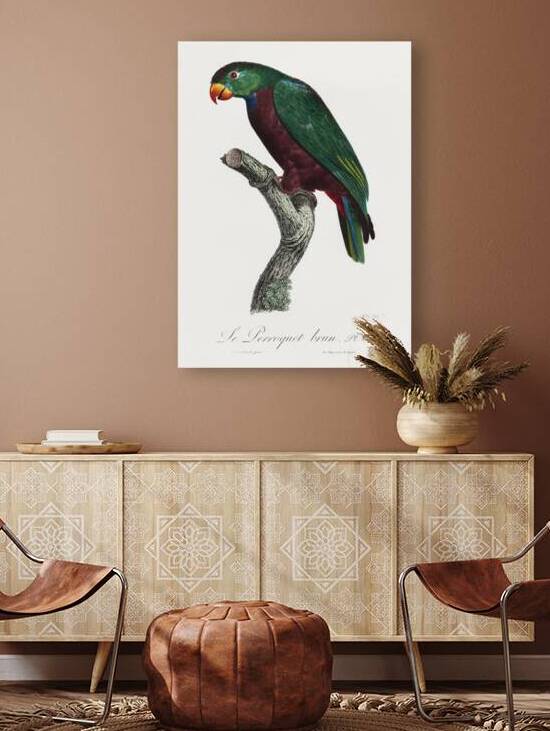 Red-billed pionus  by IStockHistory com