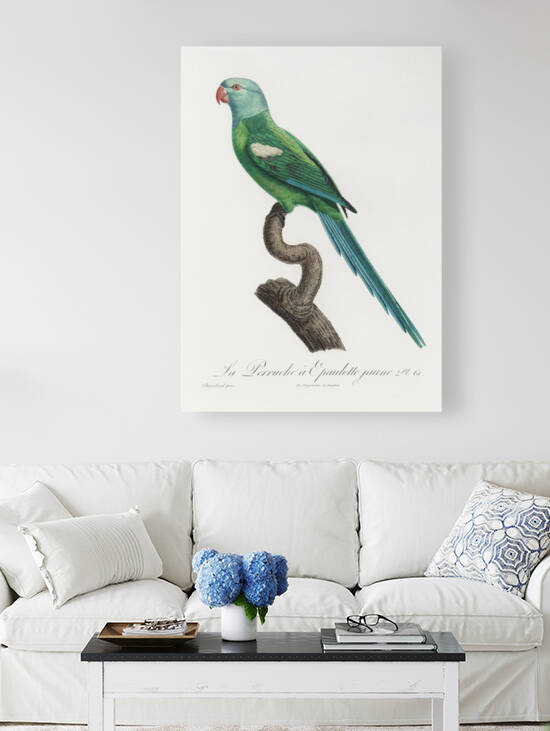 Yellow-shouldered parrot  by IStockHistory com