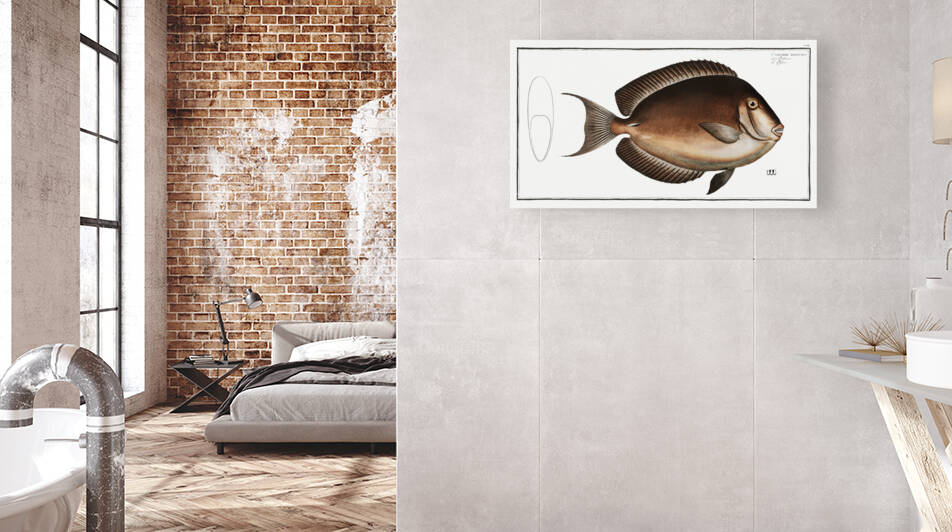 Chaetodon nigricans by IStockHistory com