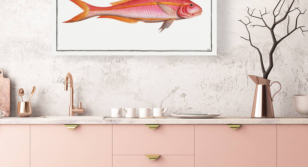 Gold-tailed Gilt-head Sparus Chrysurus by IStockHistory com