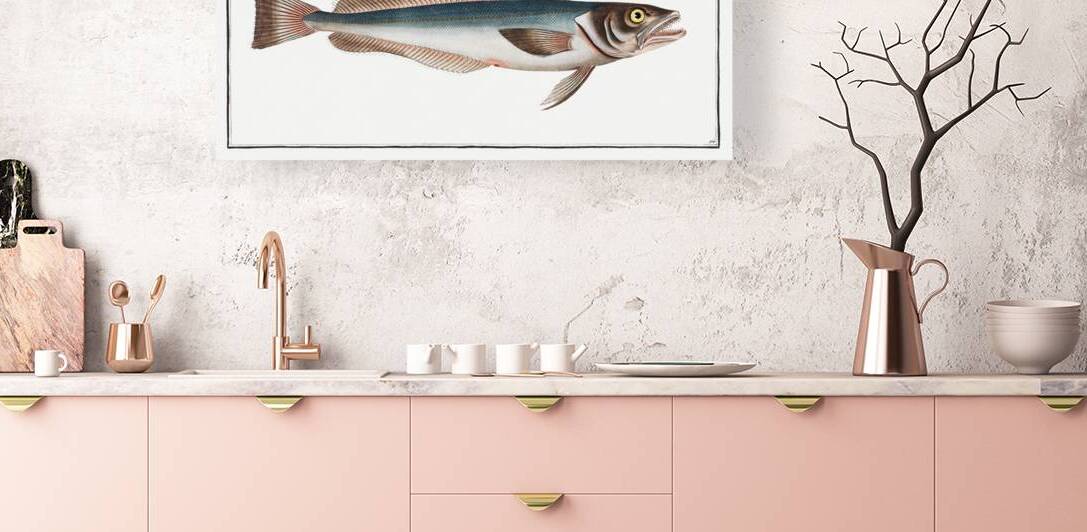 Hake Gadus Merluccius by IStockHistory com