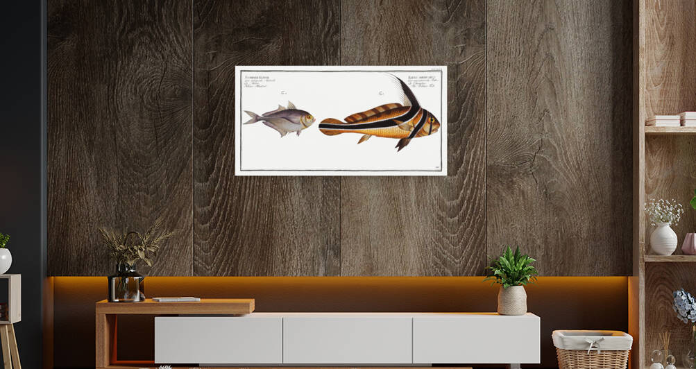 1. Ribban-Fish Eques americanus 2. Kleins Mackrel Scomber Kleinii by IStockHistory com