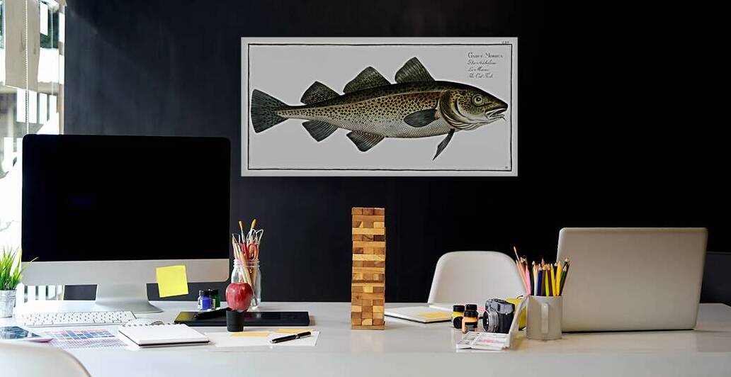 Cod Fish Gadus Morhua by IStockHistory com