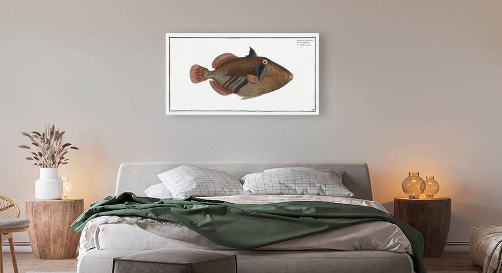 Balstes aculeatus by IStockHistory com