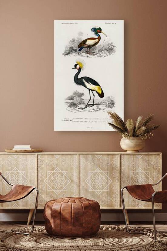 Different types of birds by IStockHistory com