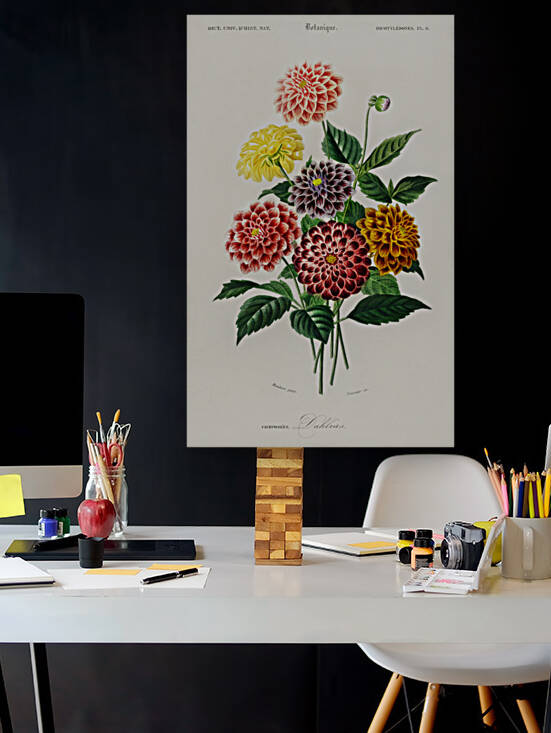 Dahlia by IStockHistory com