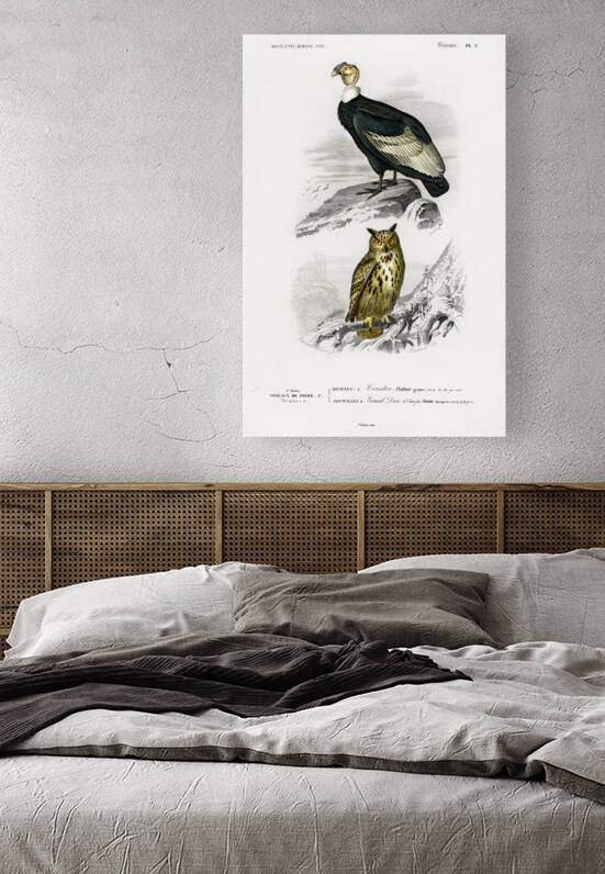 Different types of wasps by IStockHistory com