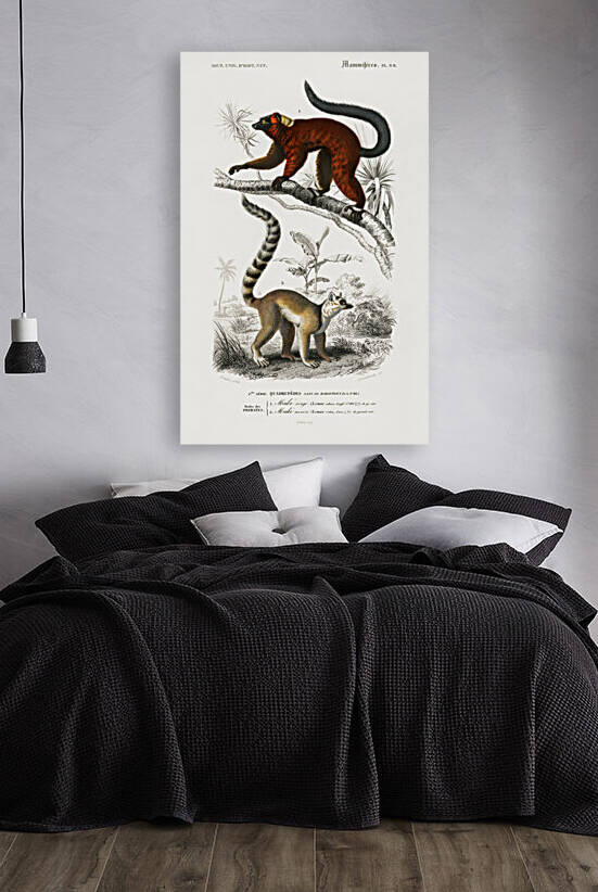 Lemur by IStockHistory com