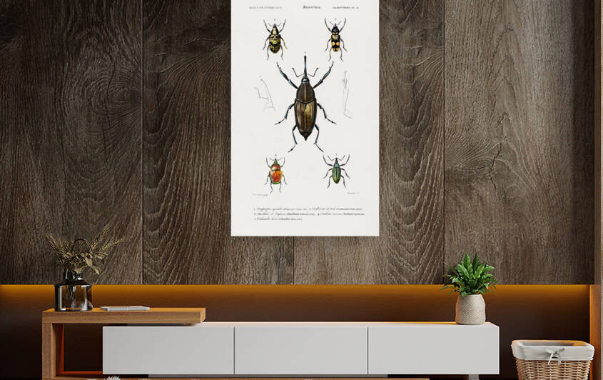 Different types of birds by IStockHistory com