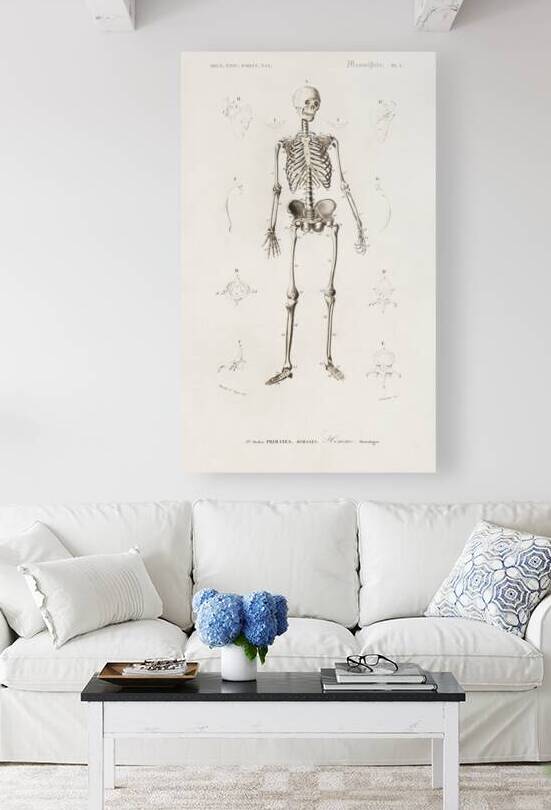 Different types of birds by IStockHistory com