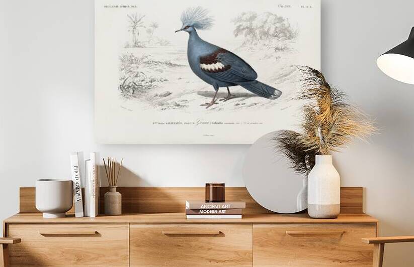 Goura by IStockHistory com