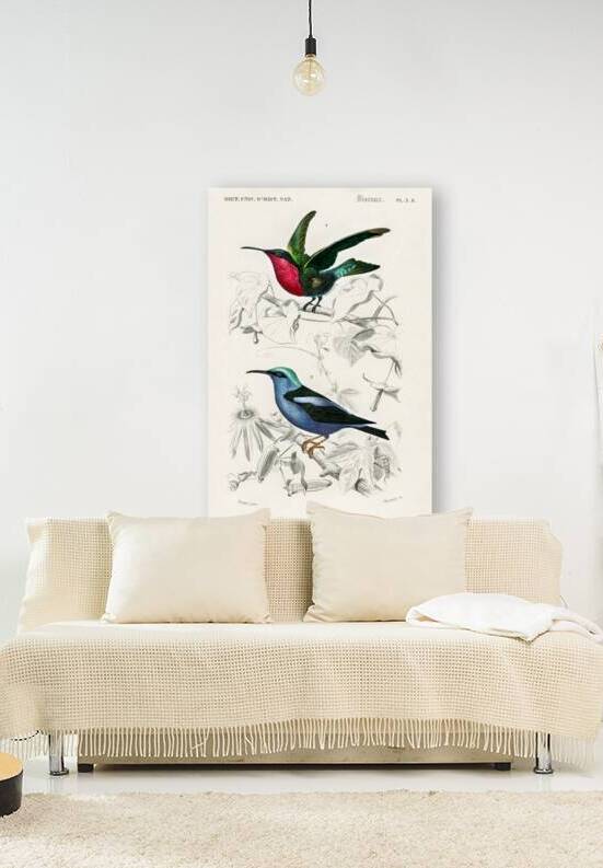 Different types of birds by IStockHistory com