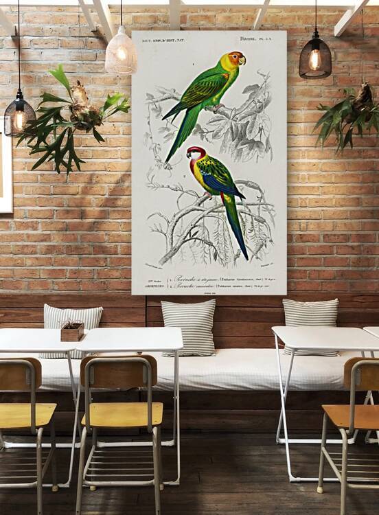 Different types of birds by IStockHistory com