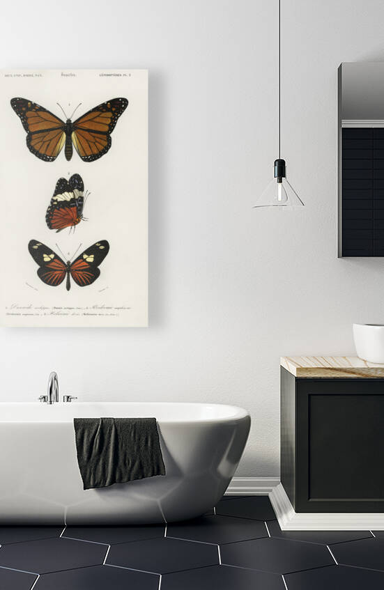 Amphisbaena fuliginosa spotted worm lizard Typhlops lumbricalis blind snakes Vropeltis Philippinus shield tail snakes by IStockHistory com