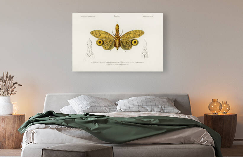 Different types of birds by IStockHistory com