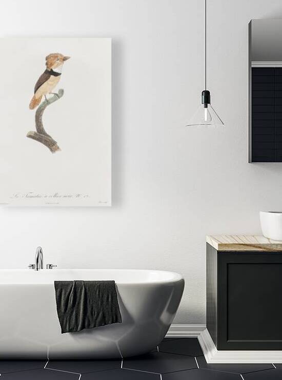 Black-necked stilt  by IStockHistory com