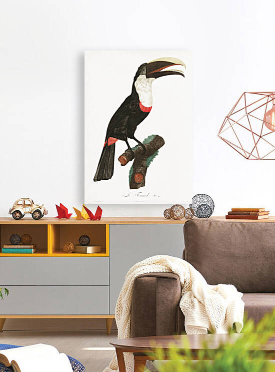 Toco toucan  by IStockHistory com