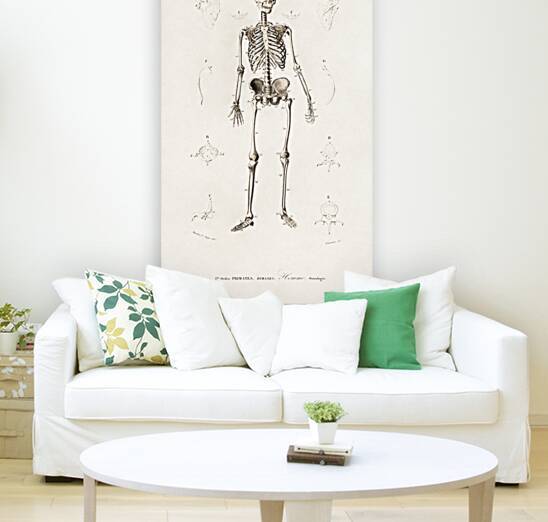 Collection of butterflies by IStockHistory com