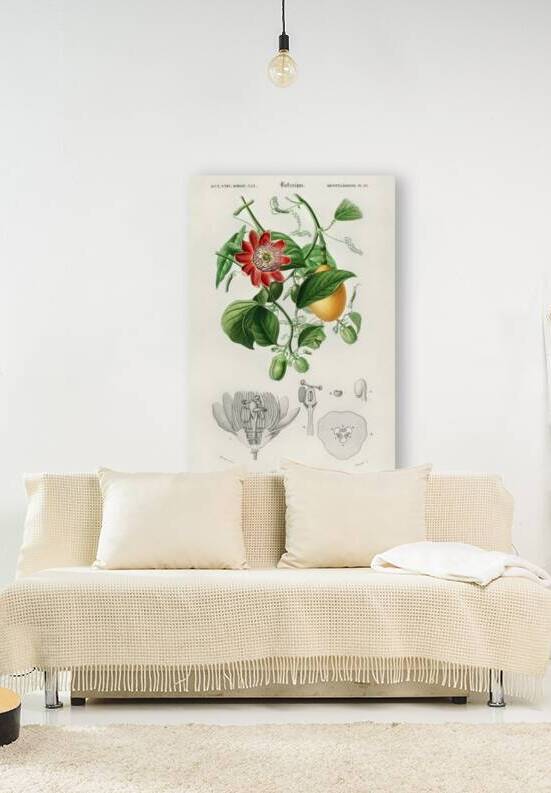 Green-tailed Jacamarfemale by IStockHistory com