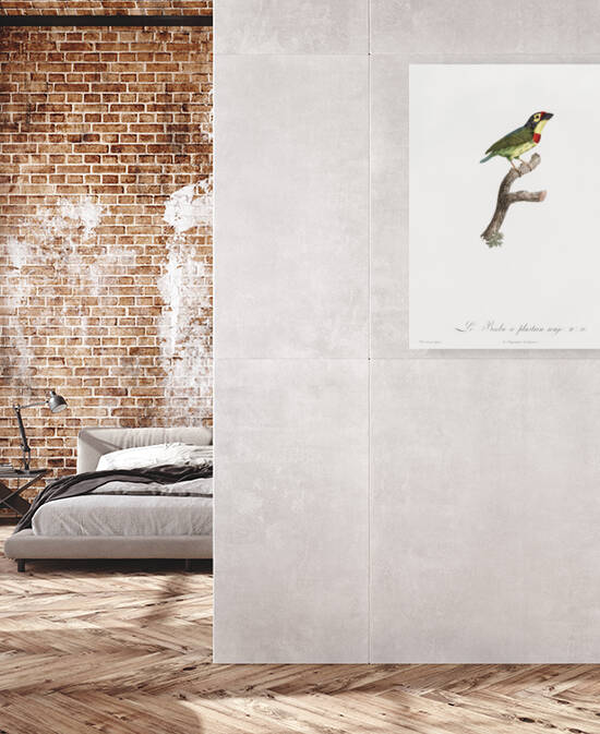 Coppersmith barbet  by IStockHistory com