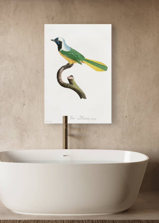 Different types of mollusks by IStockHistory com