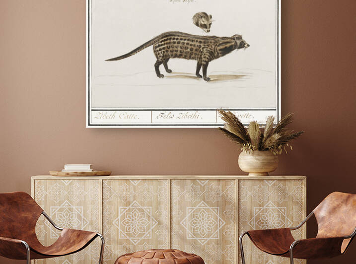 Civet cat in vintage style by IStockHistory com