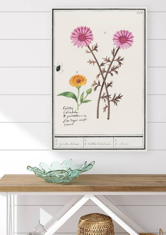 Pink flower and marigold in vintage style by IStockHistory com