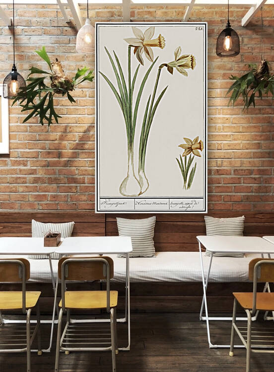 Wild daffodil in vintage style by IStockHistory com