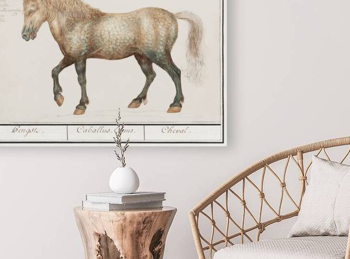 Horse in vintage style by IStockHistory com