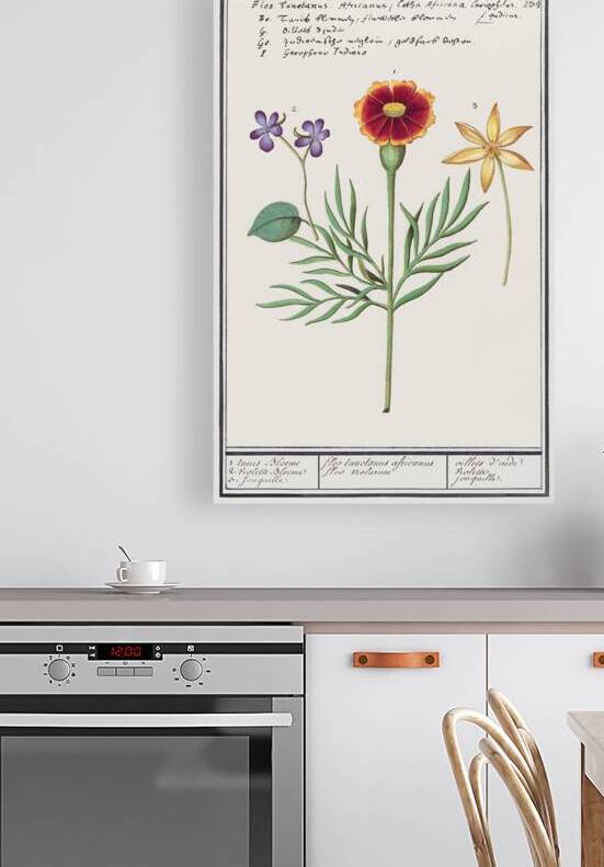 Viola daffodil and marigold by IStockHistory com