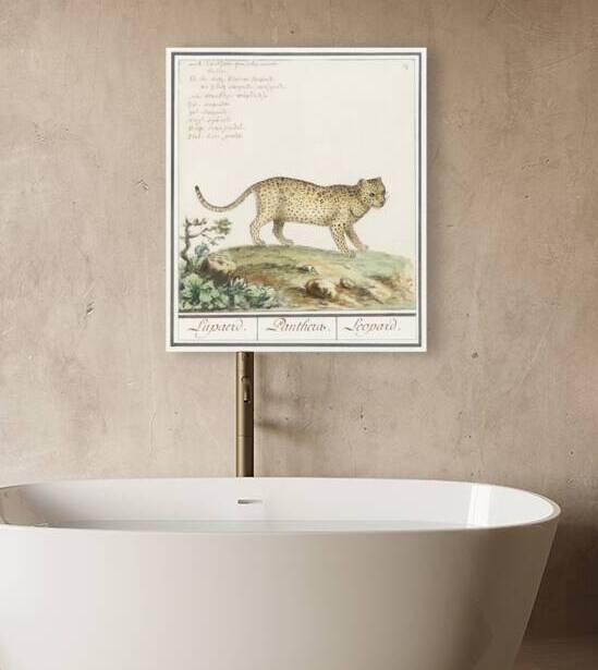 Leopard in vintage style by IStockHistory com