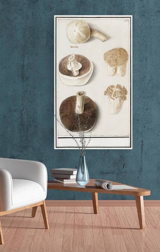 Mushrooms in vintage style by IStockHistory com