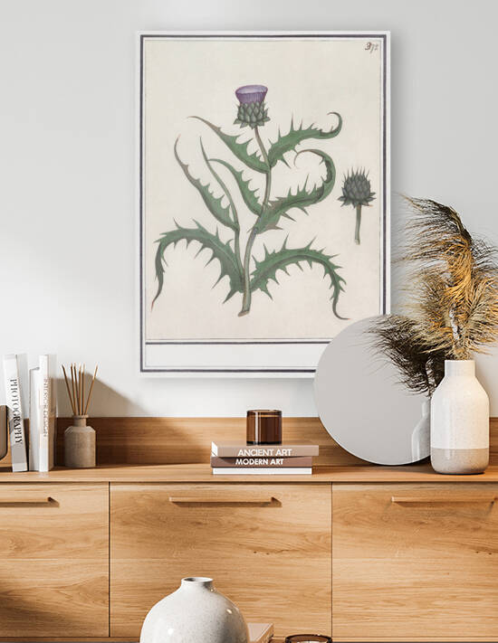 Artichoke flower in vintage style by IStockHistory com