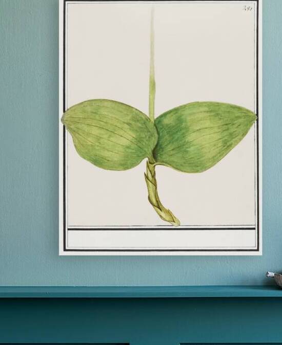 Green foliage in vintage style by IStockHistory com