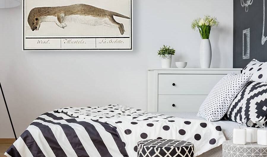 Weasel in vintage style by IStockHistory com