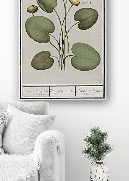 Yellow floppy flower by IStockHistory com