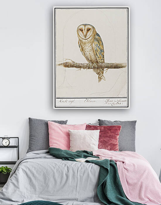 Barn owl in vintage style by IStockHistory com