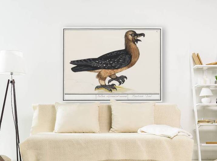 Lammergeier in vintage style by IStockHistory com