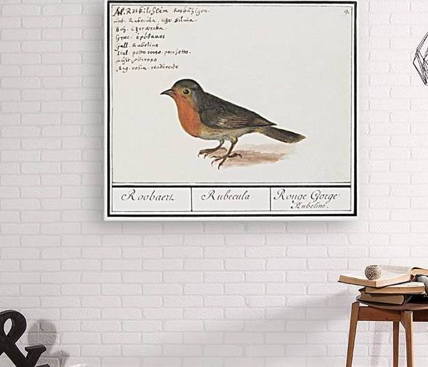 Robin in vintage style by IStockHistory com