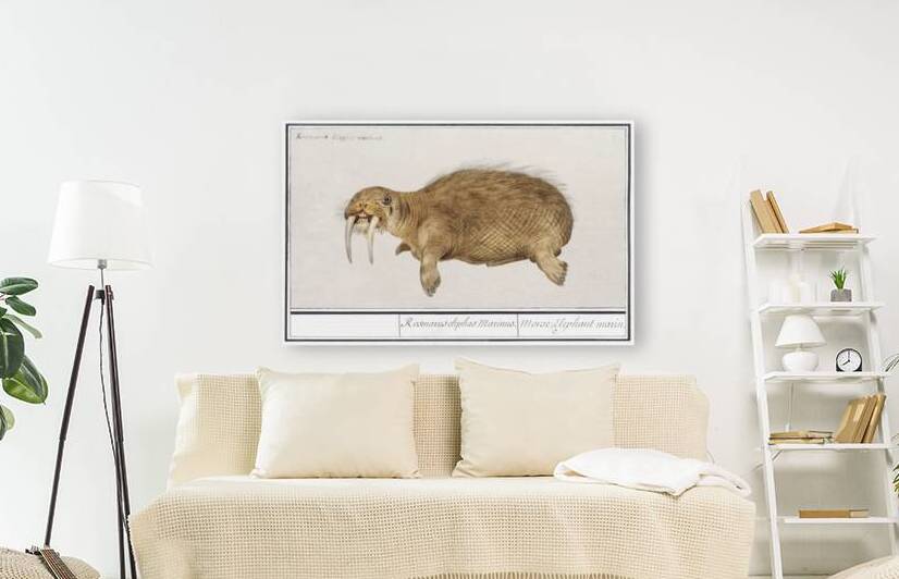 Walrus in vintage style by IStockHistory com