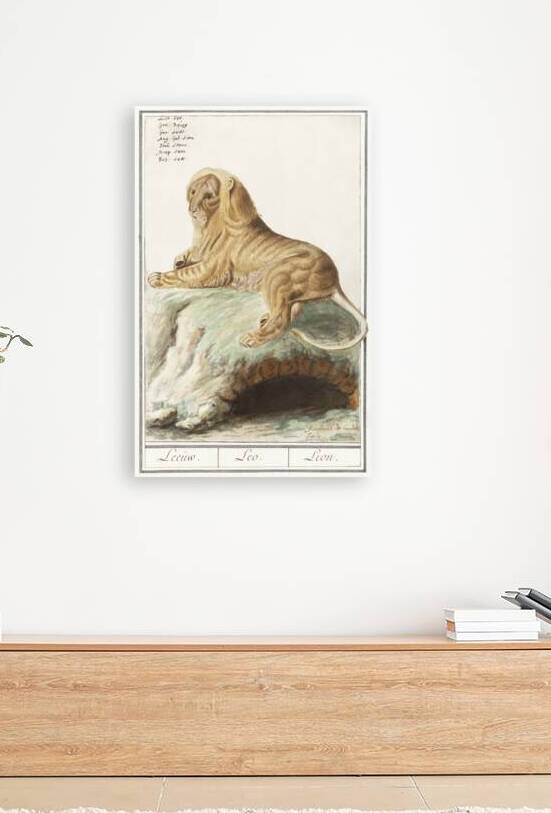 Lion in vintage style by IStockHistory com