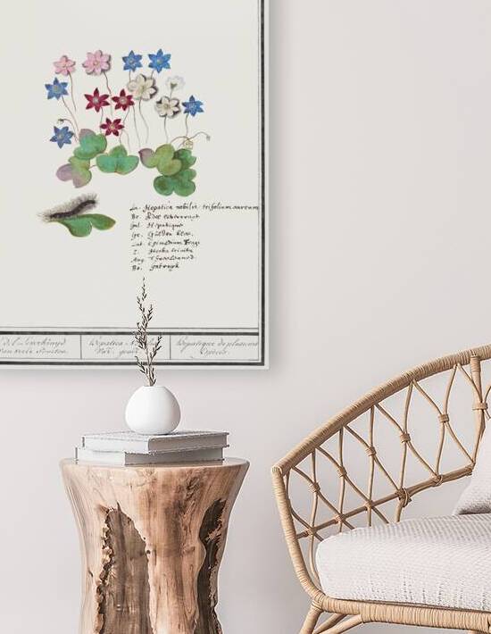 Liverleaf in vintage style by IStockHistory com