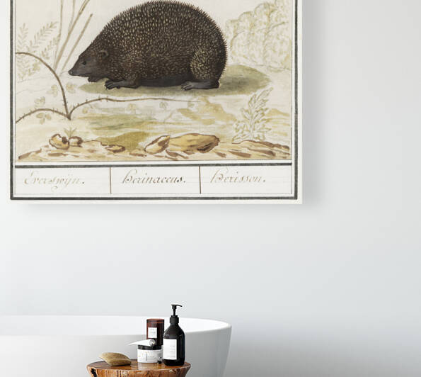 Hedgehog in vintage style by IStockHistory com