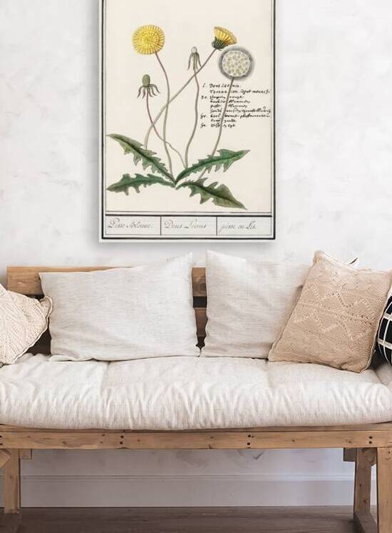 Dandelion in vintage style by IStockHistory com