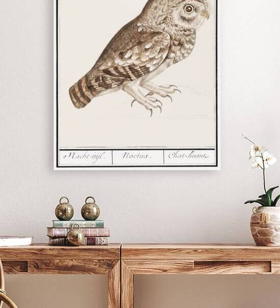 Owl in vintage style by IStockHistory com