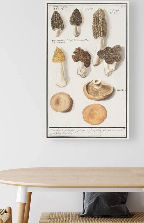 Mushrooms in vintage style by IStockHistory com