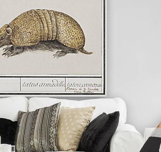 Armadillo in vintage style by IStockHistory com