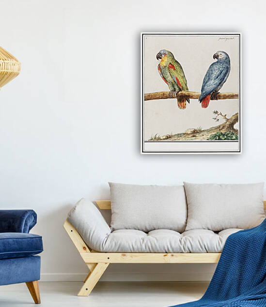 Parrots in vintage style by IStockHistory com